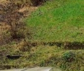 Продать Дачи, коттеджи, загородные дома Лебяжье тер., Антракт СНТ, 310А   