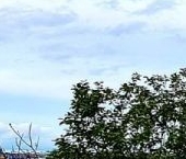 Продать Земельные участки, земля д. Пески, улица Солдата Власова   