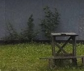 Продать Дачи, коттеджи, загородные дома Б мкр, д. Сюрья, 3   