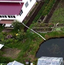 Продажа земли д. Куйворы, 30 Продажа земли д. Куйворы, 30