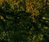 Продать Земельные участки, земля Павловск, улица Круглый пруд   