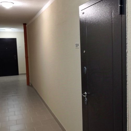 Студия пос. Шушары, Московское шоссе, 262к1