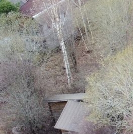 Продажа земли д. Овраги, улица Дорожная Продажа земли д. Овраги, улица Дорожная