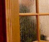 Сдать в аренду Квартиры вторичка Невский проспект, 106   