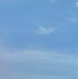 Продажа дома Алапурские Леса СНТСН, улица Ежевичная, 4