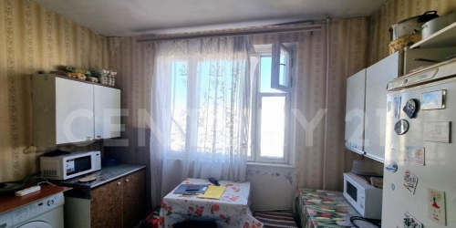 3-комн квартира Новокосинская ул., 44