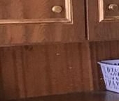 Сдать в аренду Комнаты в квартирах Каменноостровский проспект, 55   