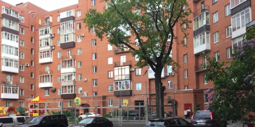 3-комн квартира 2я Алексеевская,  д. 7