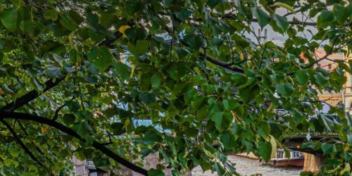 4-комн квартира набережная Реки Мойки, 1/8