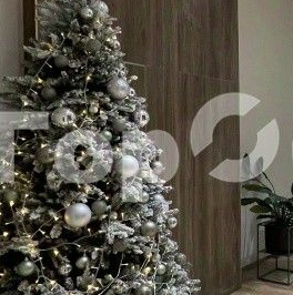 Аренда 2-комн квартиры на вторичном рынке улица Петра Алексеева, 5 Аренда 2-комн квартиры на вторичном рынке улица Петра Алексеева, 5