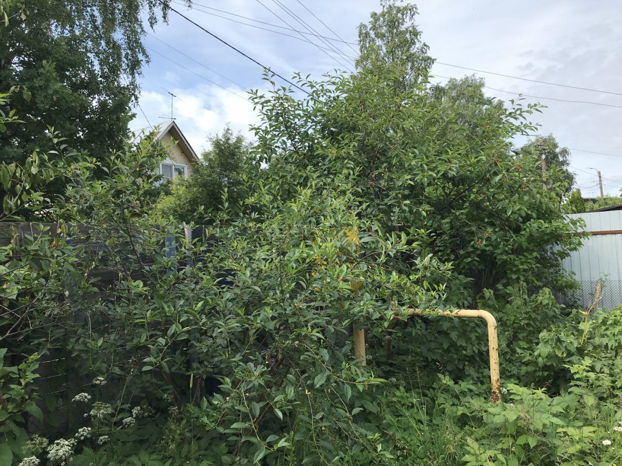 Продажа дома пос. Белоостров, Инструментальная улица, 8