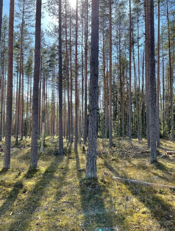 Продажа земли пос. Пески, проезд Флагманский