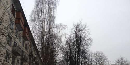 2-комн квартира Ольги Форш ул ,  д. 3