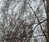 Продать Квартиры вторичка Колпино, проспект Ленина, 38   