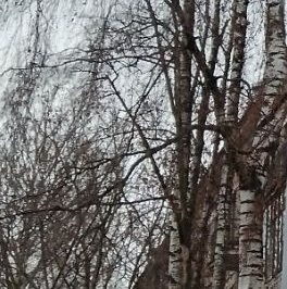 Продажа 2-комн квартиры на вторичном рынке Колпино, проспект Ленина, 38