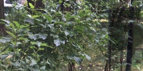 6-комн квартира улица Петровка, 26С2