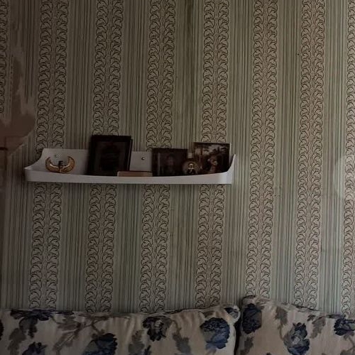 Коттедж/дом Посадников остров садоводческий массив, Меридиан СНТ, 6-я линия