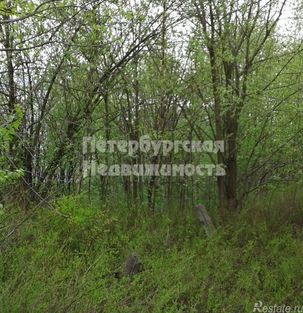 Продажа земли Левашово пос., Первомайская ул. ,  д. 1/66