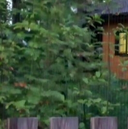 Продажа дома Солнечный Орнамент кп, д. Раздолье