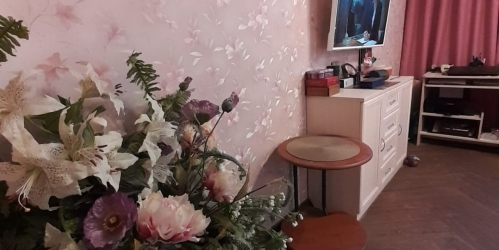 3-комн квартира Пушкин г., Красносельское шос.,  д. 47