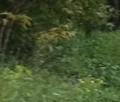 Продать Дачи, коттеджи, загородные дома Волосово, улица 4-й карьер   