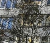 Продать Квартиры вторичка проспект Большевиков, 37К1   