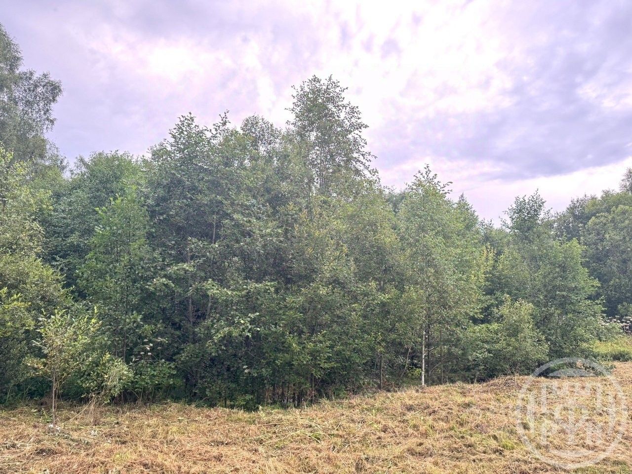 Продажа земли Вырица городской поселок, проспект Мельничный