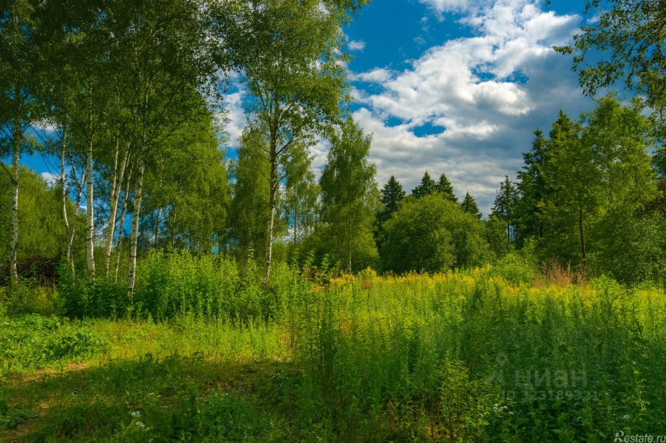 Продажа земли Бузланово, ул Полевая,  д. 8