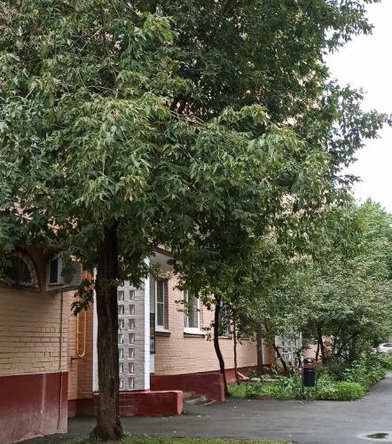 2-комн квартира улица Двинцев, 8