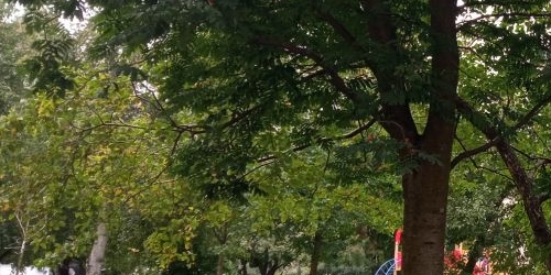 1-комн квартира Новосмоленская набережная, 1Г