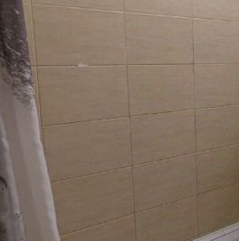 Аренда 1-комн квартиры на вторичном рынке Южное шоссе, 53к5