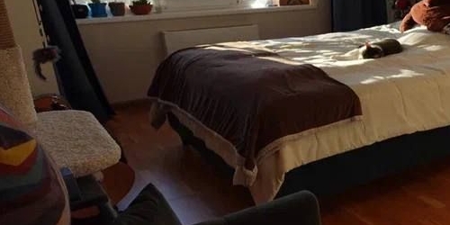 1-комн квартира Нижняя Первомайская улица, 41