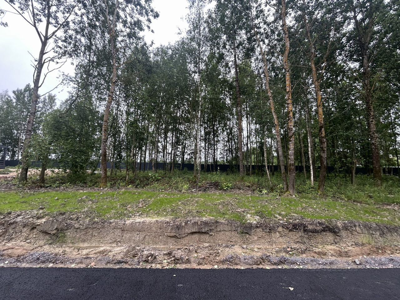 Продажа земли Павловск, Павлов Скай кп, 41