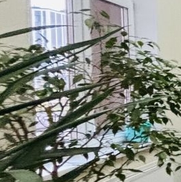 Продажа студии проспект Маршала Блюхера, 9к3