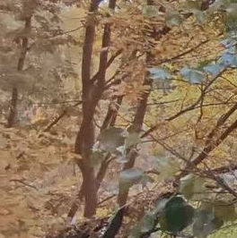 Продажа 3-комн квартиры на вторичном рынке улица Ушинского, 9К1 Продажа 3-комн квартиры на вторичном рынке улица Ушинского, 9К1