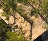 Продать Дачи, коттеджи, загородные дома Зеленый Остров СНТ, улица Зеленая   