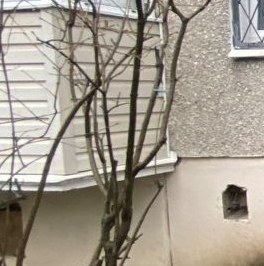 Продажа 1-комн квартиры на вторичном рынке Жуковский, улица Гагарина, 30