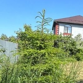 Продажа земли Пески СНТ, 66А