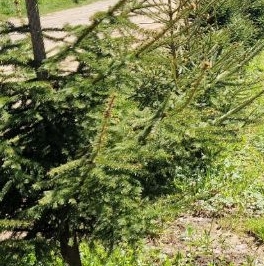 Продажа дома пос. Ольшаники, ТСН усадьба, проезд Бирюзовый Продажа дома пос. Ольшаники, ТСН усадьба, проезд Бирюзовый