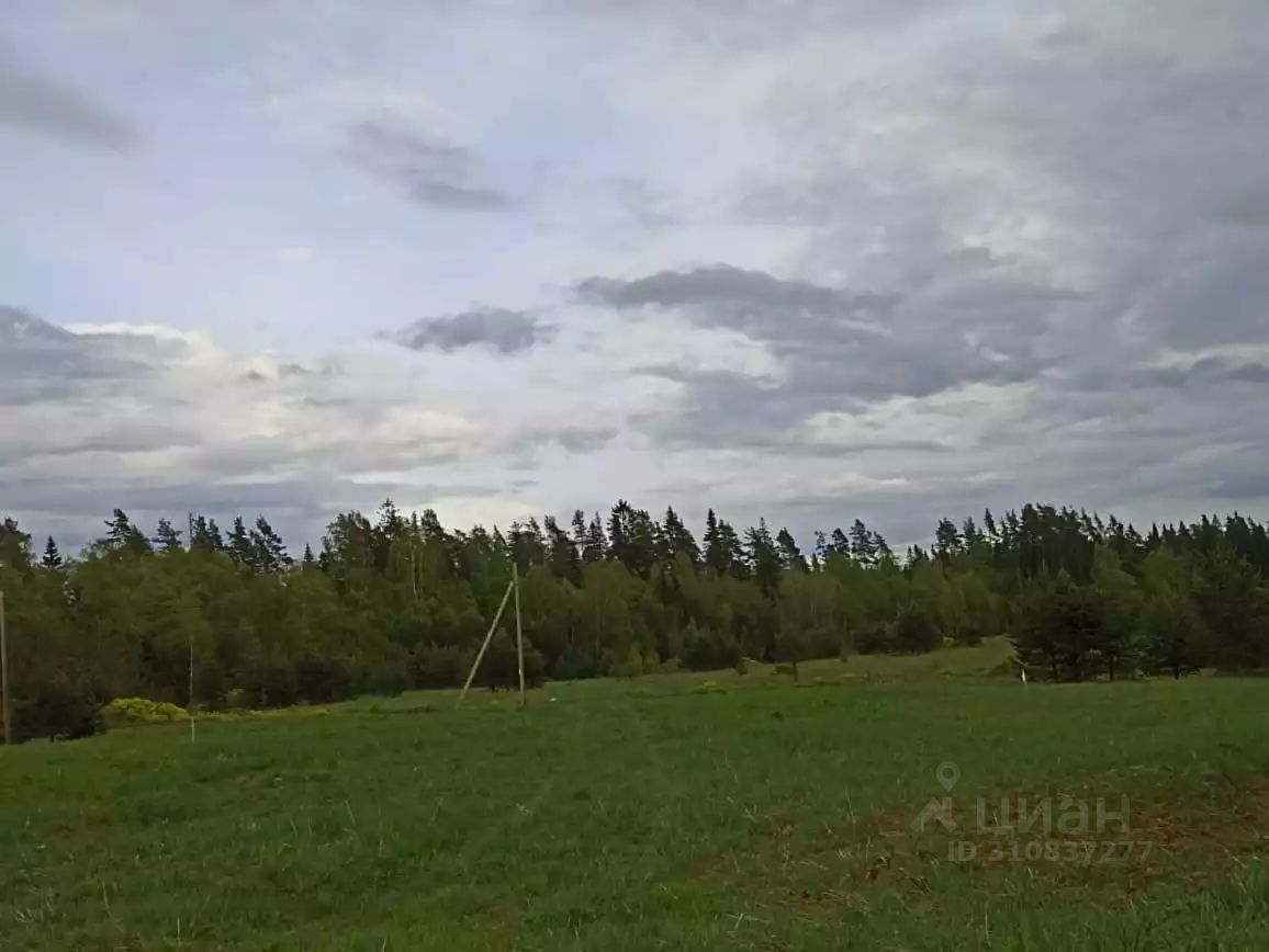 Продажа земли д. Васильево, улица Лыжная