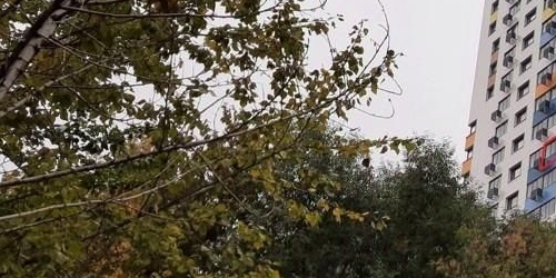 3-комн квартира Зеленый проспект, 97А