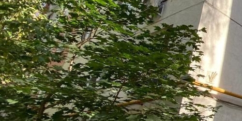 2-комн квартира Снайперская улица, 13