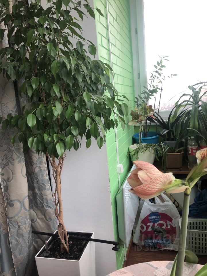 Аренда 2-комн квартиры на вторичном рынке Химки, Ленинский проспект, 1к2