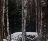 Продать Земельные участки, земля Посадников остров садоводческий массив, улица Вересковая  115 