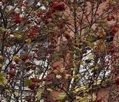 Продать Квартиры вторичка Мичуринский проспект, 13к3   