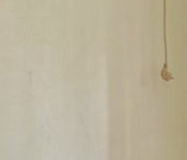 Продать Квартиры вторичка Кириши, Молодежный бульвар, 22   