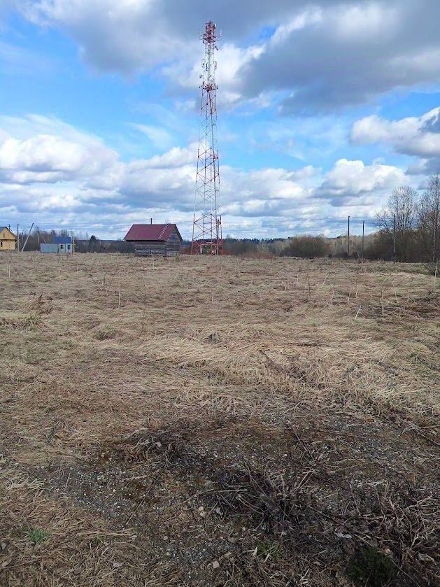Продажа земли д. Долговка, улица Ленина, 29