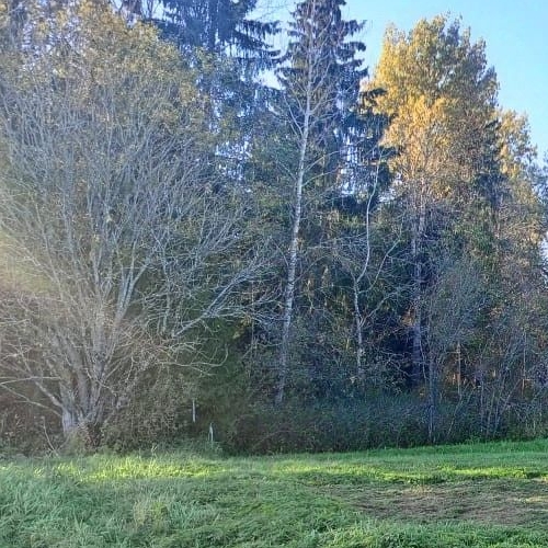 Коттедж/дом Полевой садоводческий массив,  д. 1