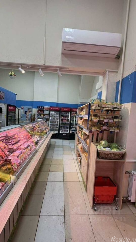 Аренда ПСН улица Маршала Василевского,  д. 3 к1