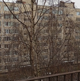 Продажа 2-комн квартиры на вторичном рынке Будапештская улица,  д. 5 к2